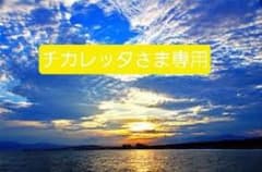 チカレッタさま専用のサムネイル