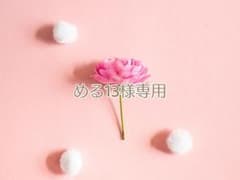 専用ページのサムネイル