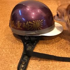 コルク 三つボタン 川崎重工日章のサムネイル