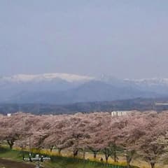 康ちゃんパパ様のサムネイル