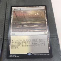 MTG 湿地の干潟 英語版 モダンマスターズ2017 - メルカリ