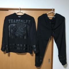 ガルフィーのサムネイル