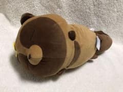 [대] 너구리와 여우 너구리 ~ 나비와 너구리 ~