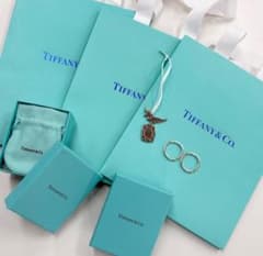 Tiffany & Co. 紙袋 箱 bird on a rockのチャームのサムネイル