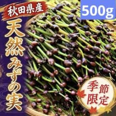 新鮮山菜】天然みずの実 ミズのコブ 500g以上⑤ - メルカリ