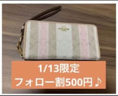りんご様専用♪【COACH】【新品未使用品】ピンク　縦ライン　新作　プレゼントのサムネイル