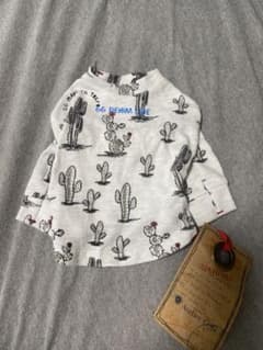 アトリエggのサボテンTシャツ2号のサムネイル