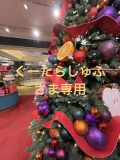 【グータラシュフさま専用】レインディアノーズと屋根開きバスケットXL　確認