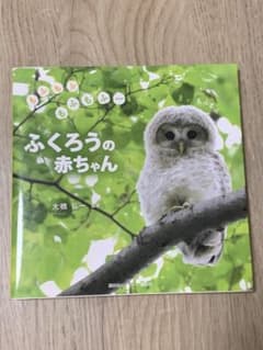 もふもふ ふくろうの赤ちゃん 写真集のサムネイル