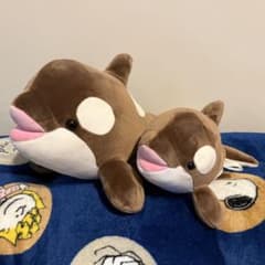 神戸須磨シーワールド シャチ オルカ くじ バレンタイン限定カラー