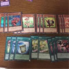遊戯王 獣族デッキ パーツのサムネイル