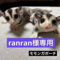 モモンガ 夏用 接触冷感 三角ポーチ ハウス おうち XLサイズ