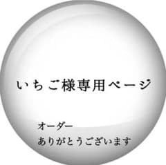 いちご様専用ページ/刺繍ポーチのサムネイル