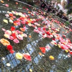 736様 専用出品のサムネイル