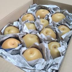【訳あり】豊水梨 25個入約5kg 山形県産 No.73のサムネイル