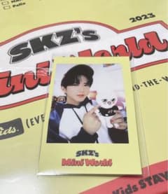 Straykids シーグリ2023 JYP特典　チャンビンのサムネイル
