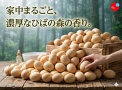 業務用50個】青森ひばのたまご 圧倒的ボリューム！家中まるごと消臭 