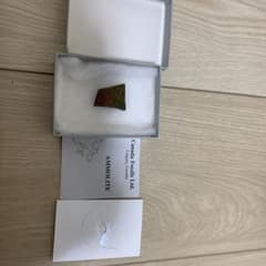 アンモライトのサムネイル