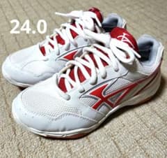 未使用　MoonStar GYMSTAR 体育館シューズ スニーカー 24.0