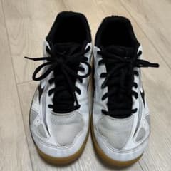 美品 MIZUNO バレーボールジューズ 23cmのサムネイル