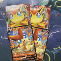 hiro様専　エンテイとギャロップセットのサムネイル