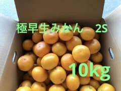 和歌山県産 極早生みかん 10kg 2Sサイズのサムネイル