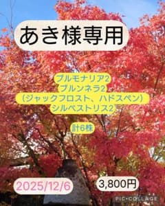 あき様専用のサムネイル