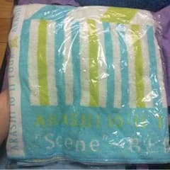 嵐 君と僕の見ている風景のサムネイル