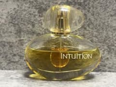エスティローダー 練香水 イントゥイション ダックスフンド ☆Estee Lauder エスティローダー イントゥイション EDP 30ml - メルカリ