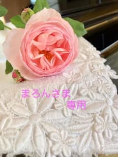 まろんさま　専用ですのサムネイル