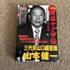 実録勇猛ヤクザ伝 神戸疾風編 山本健一のサムネイル