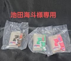 池田海斗様専用のサムネイル