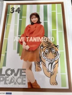 つばきファクトリー 谷本安美 ピンナップポスター - メルカリ