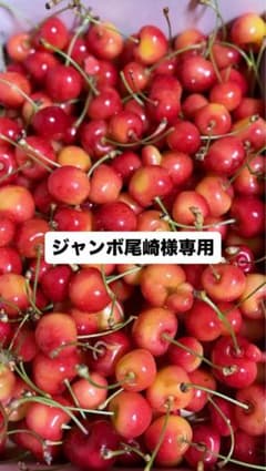 ジャンボ尾崎様専用のサムネイル