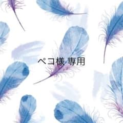 ペコ様 専用のサムネイル