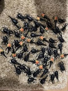 カブトムシのフィギュアのサムネイル