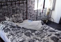 【限定】ヒグチユウコ Toile de Jouy（掛布団カバー＆ピローケース） 限定】ヒグチユウコ Toile de Jouy（掛布団カバー＆ピローケース