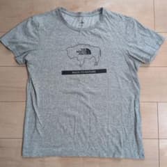 THE NORTH FACE ノースフェイス Tシャツ Lのサムネイル