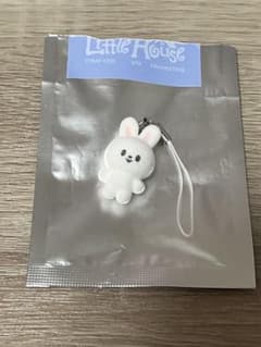 Stray Kids ペンミ シークレットミニチャーム リービットのサムネイル