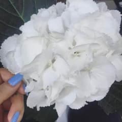 さりー様 専用のサムネイル