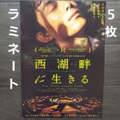 영화 서호반에 사는 라미네이트 + 전단 플라이어 5장
