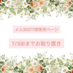 No.3050❀》ハンドメイド レジンヘアゴム 海 ネックレス アナベル 大