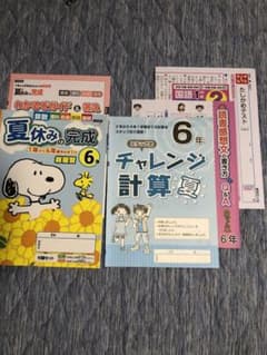 m98847671253_1.jpg?1753562833