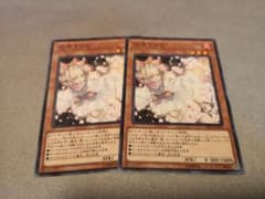 遊戯王 灰流うらら　ノーマル２枚のサムネイル