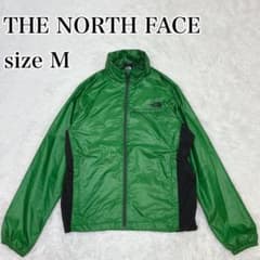 m98890976623_1.jpg?1768562129