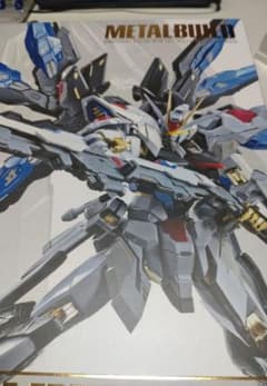 metal build ストライクフリーダム 開封品のサムネイル