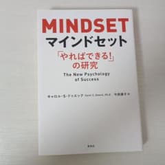 マインドセット「やればできる！」の研究のサムネイル
