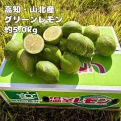 温室グリーンレモン 5.0kg　香りバツグン！【高知・山北産】（数量限定）のサムネイル