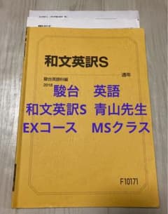 駿台 英語 和文英訳S 青山先生 EXコース MSクラス 2018年度 - メルカリ