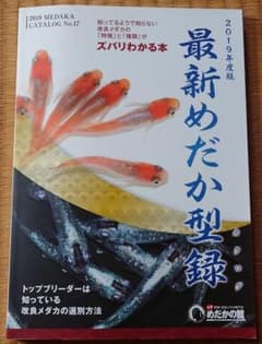 最新メダカカタログ　2019年度版のサムネイル